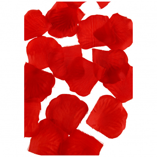 Romantické lupene červených ruží ako súčasť sady Adventurous Anal Starter.