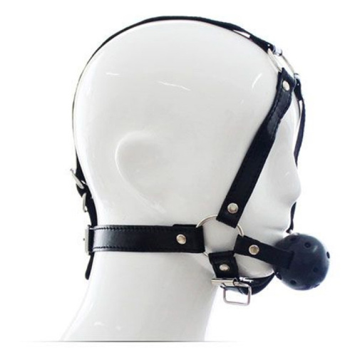 Head Harness postroj na hlavu s guľôčkovým náustkom