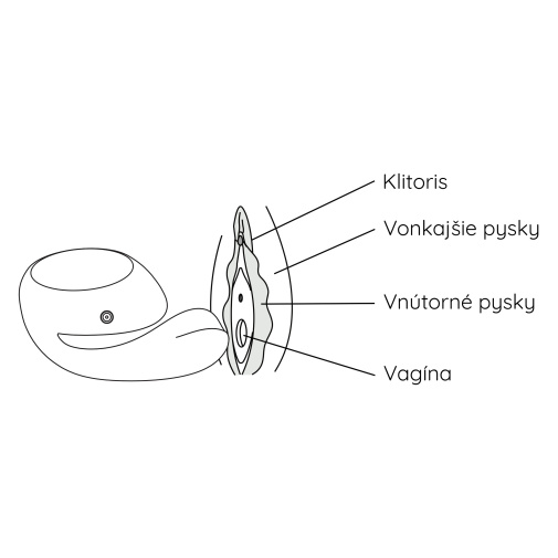 Grafika znázorňujúca časti vagíny, ktoré sú stimulované vibrátorom Ida 