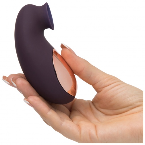 Malá sacia erotická pomôcka na klitoris Fifty Shades Freed Sweet Release v ruke.