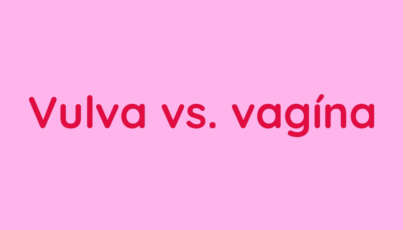 Vulva vs. vagína, aký je medzi nimi rozdieľ?